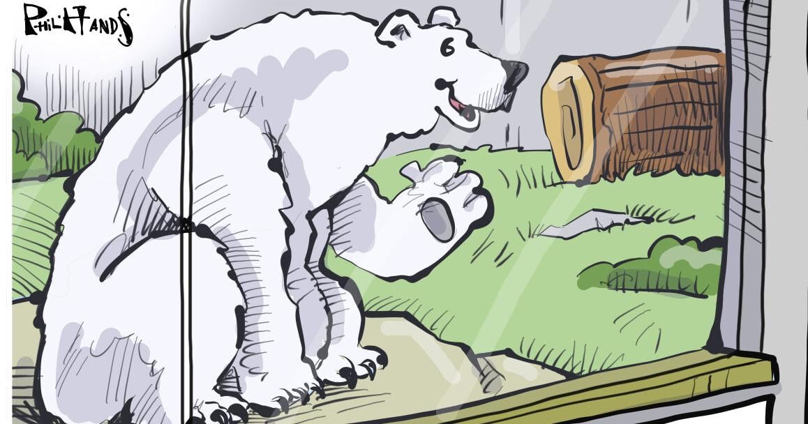 Mendota Marsh: Oscar and Lewis visit Nora the polar bear