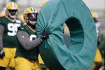 Sweet Georgia … green-and-gold? Packers hope they hit it big with Bulldogs defenders