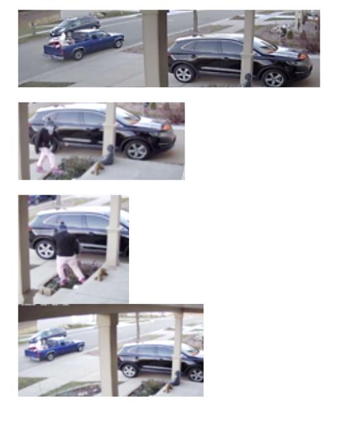 Porch pirate photo collage, Madison police
