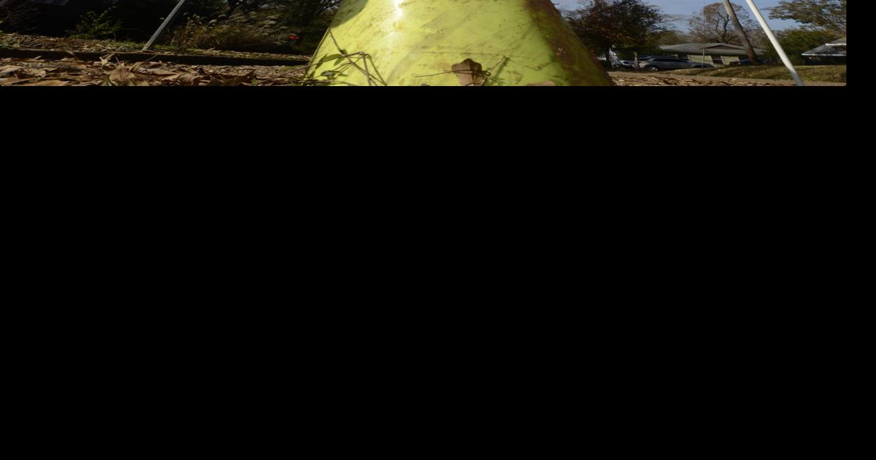 Pothole Christmas tree inspires pastor to write holiday song
