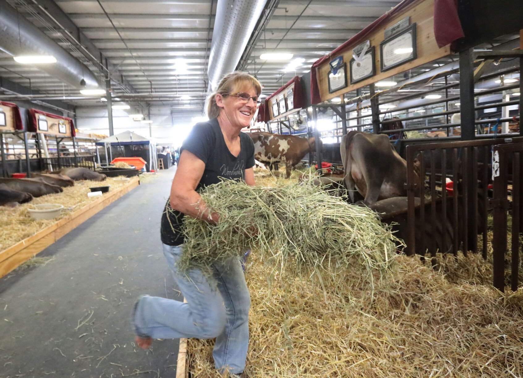 world dairy expo world dairy expo