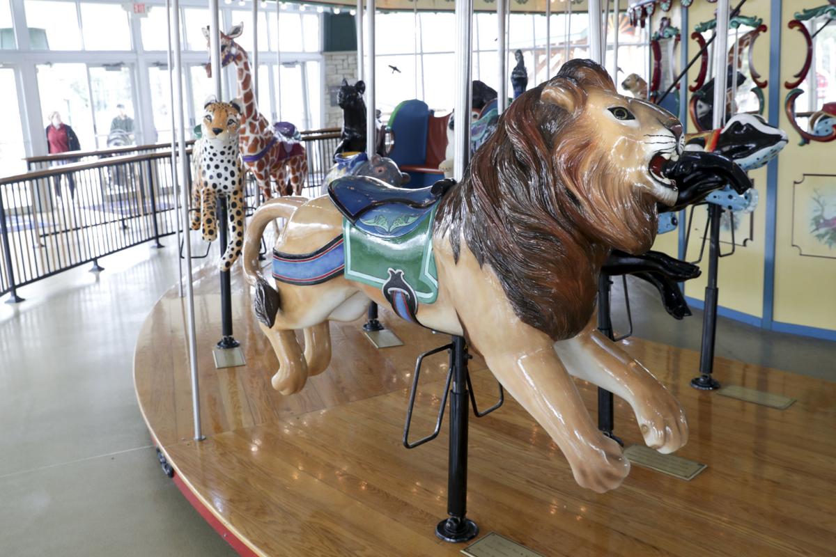 Vilas Zoo Carousel