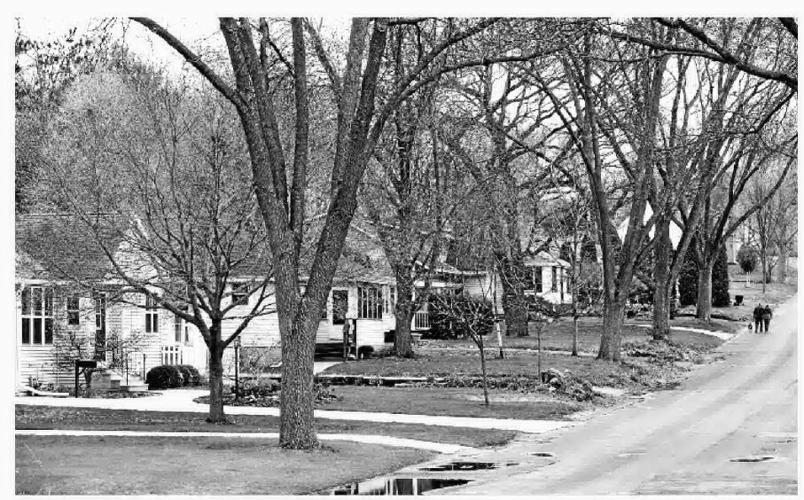 Average home 424,400