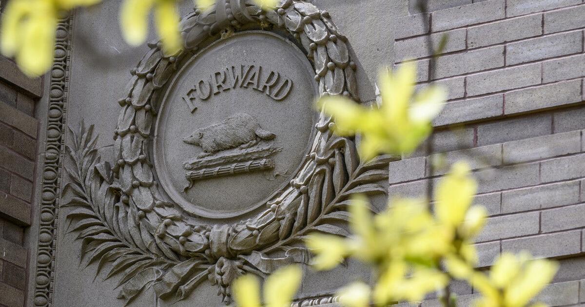 Four UW scholars earn Vilas Research Professorships