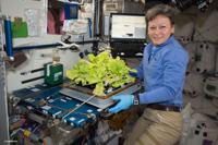 Peggy Whitson with Veggie on the space station