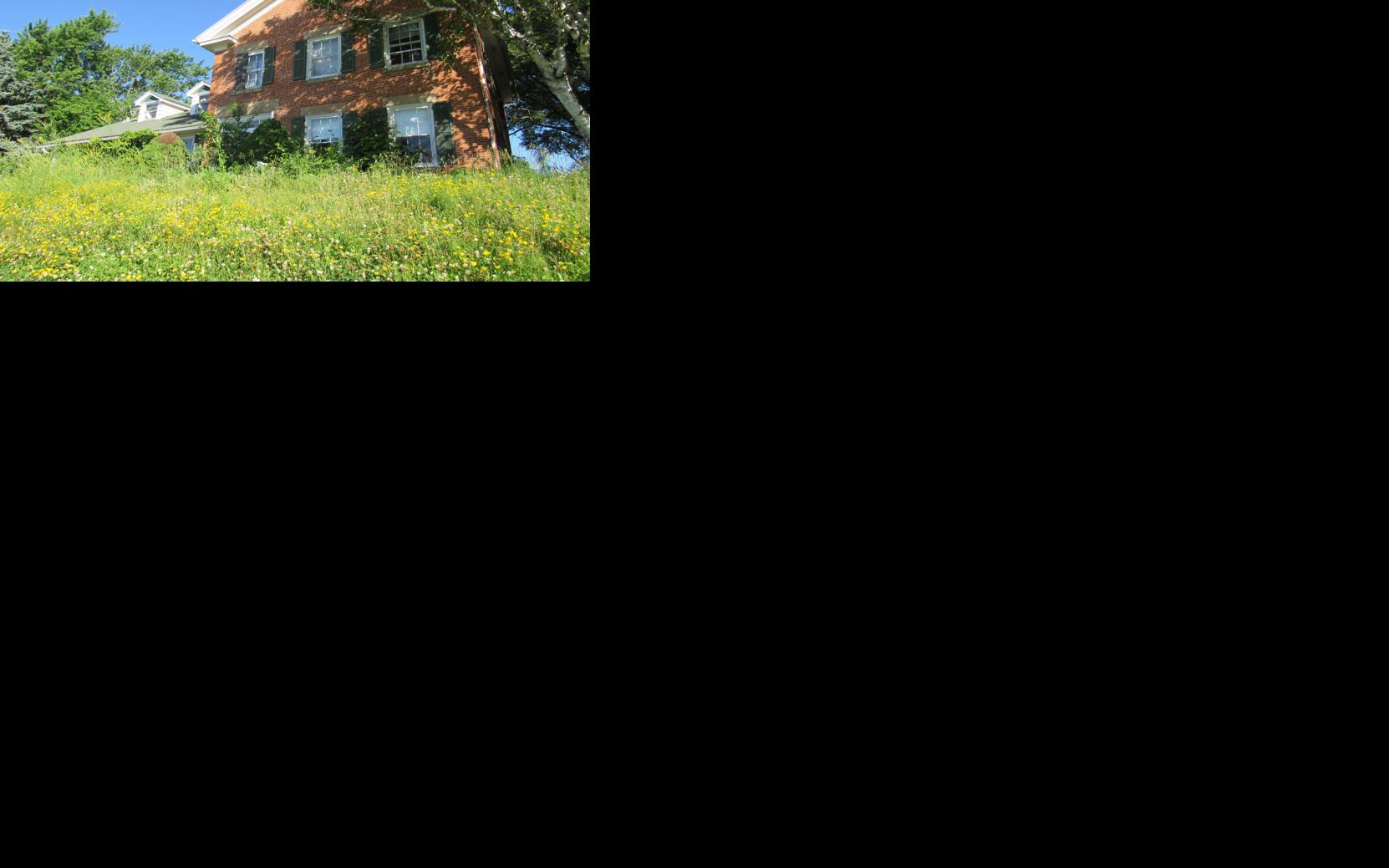 Asset-image