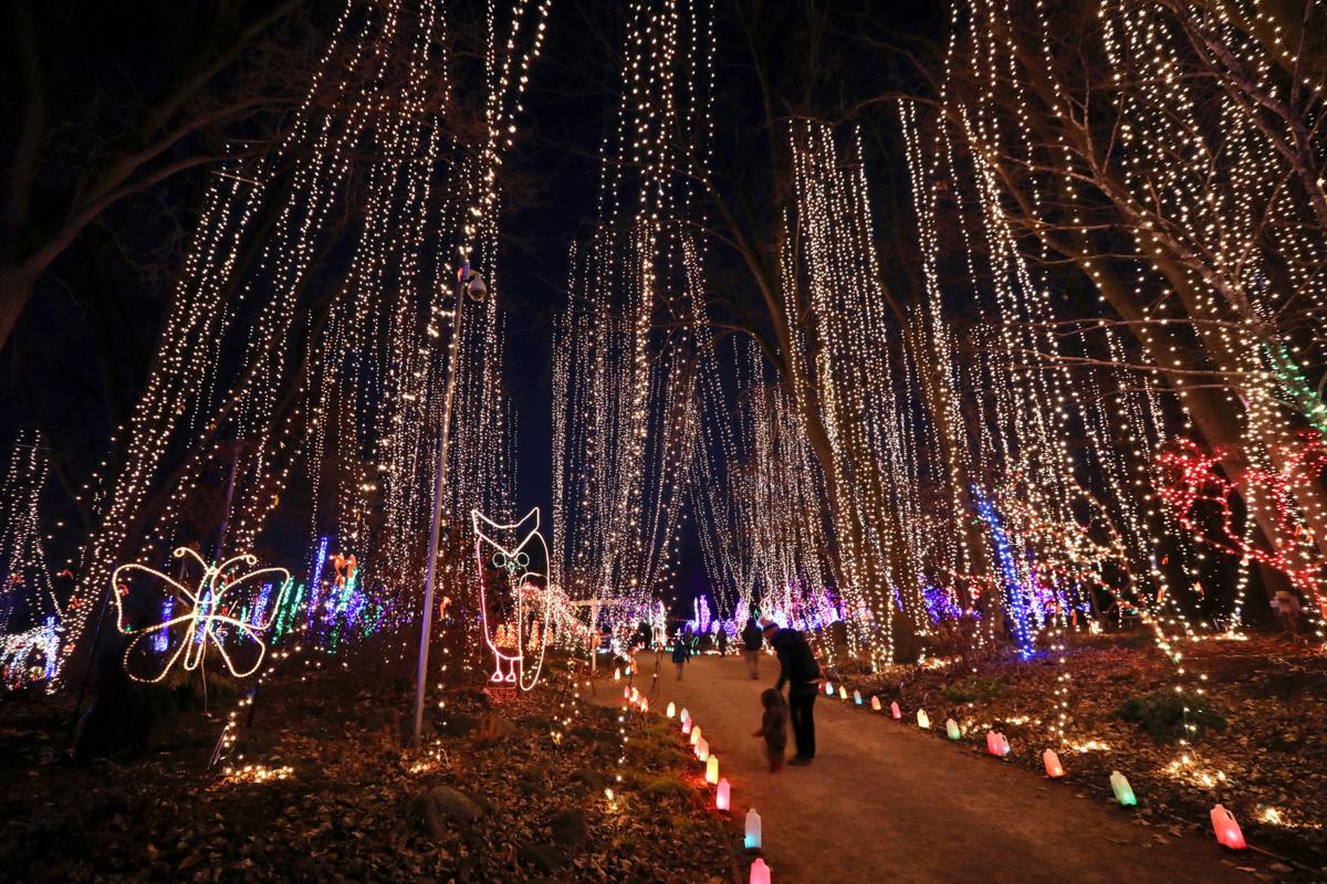 Rotary Gardens Light Show Fasci Garden