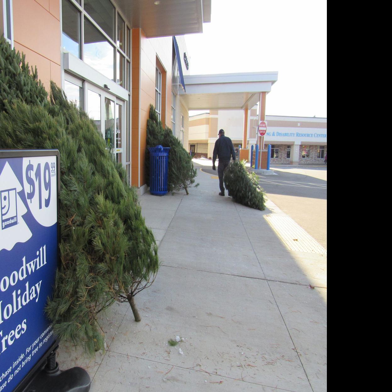 Goodwill Selling Donated Christmas Trees Business News Madison Com