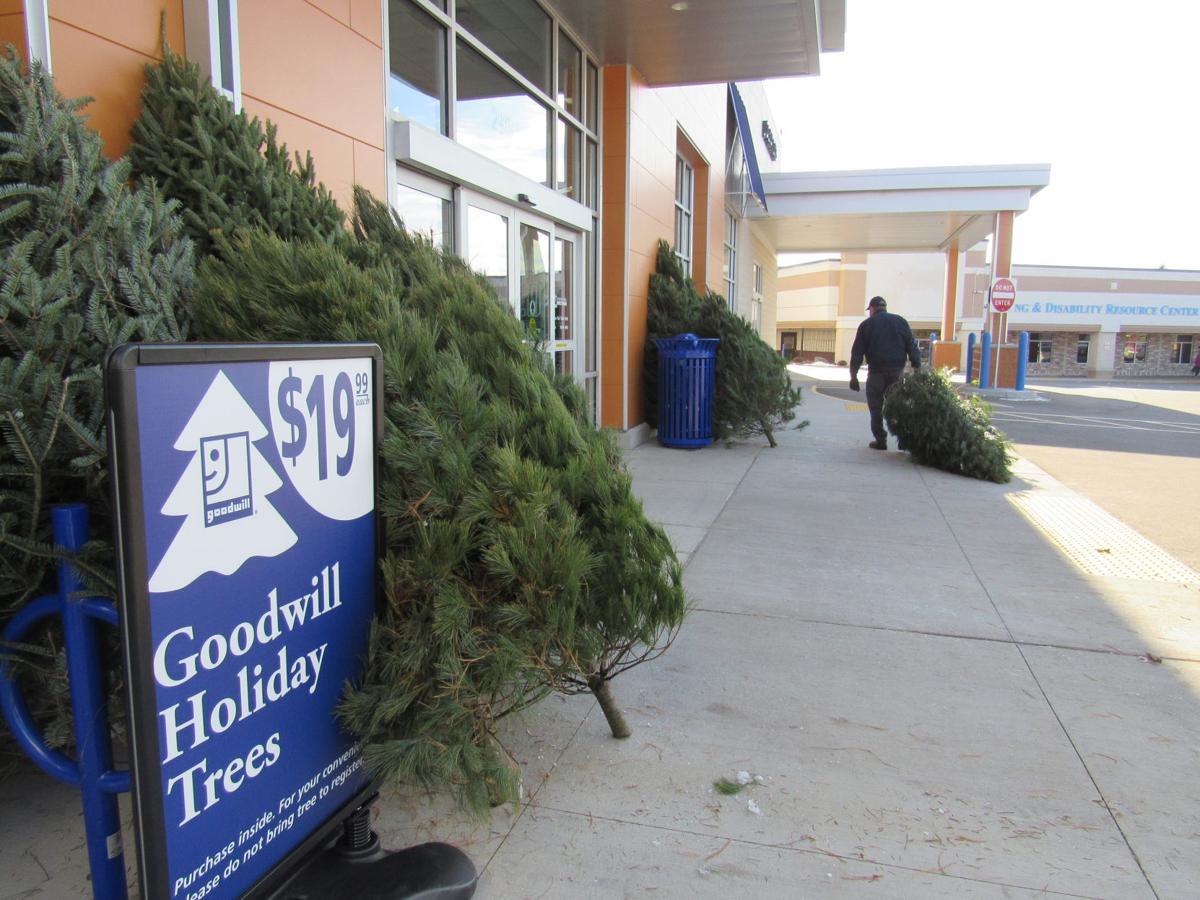 Can you donate a christmas tree to goodwill