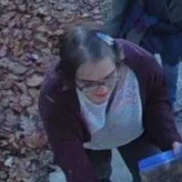 Authorities Find Morgan Geyser in Illinois a Day After She Cuts Off Ankle Monitor and Flees Group Home