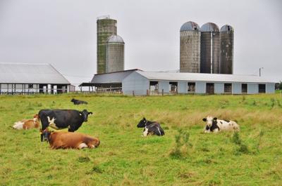 Margaret Krome Wisconsin S Farmers Have Always Been A Sound