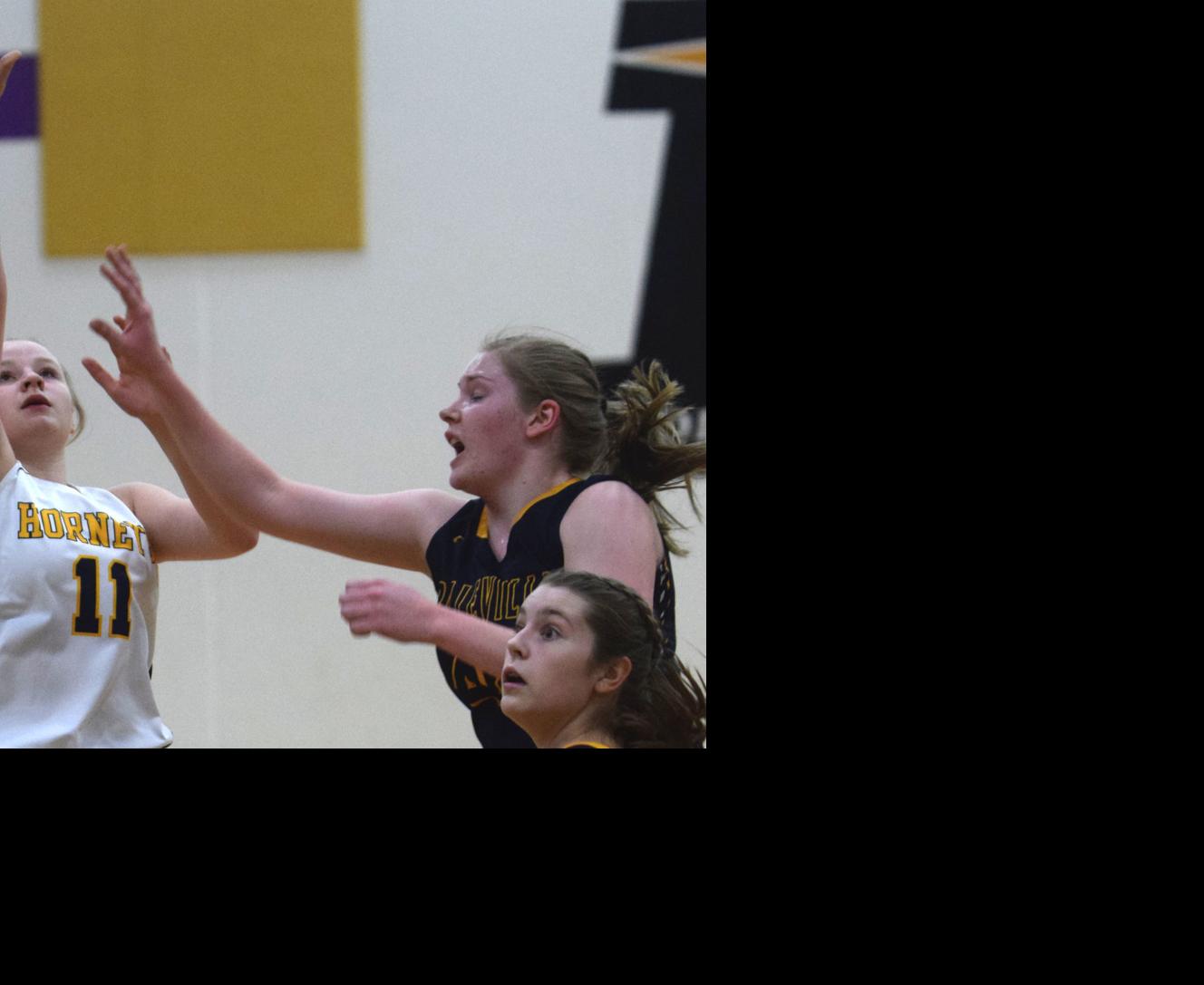 Tony Pharo Takes Over As Belleville Girls Basketball Coach Girls