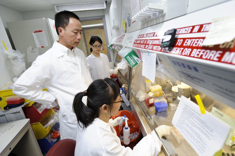 Parkinson's disease research (copy)