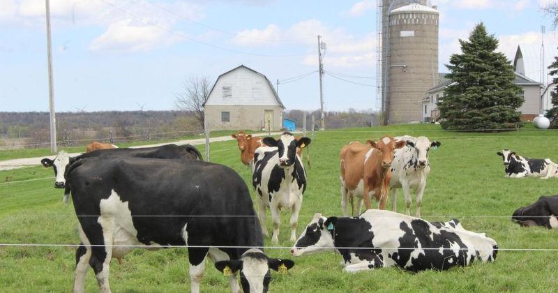 Organic milk producers push back on Depression-era pricing system Hope Kirwan Wisconsin Public Radio May 27, 2026 1 hr ago