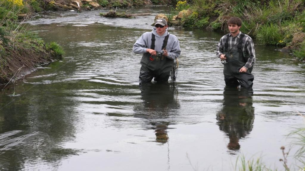 Jerry Davis Gordon Creek Is Worth A Peek Outdoors Madison Com