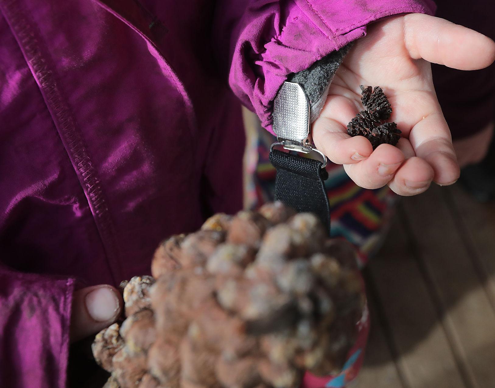 Forest School 05-01142022203609