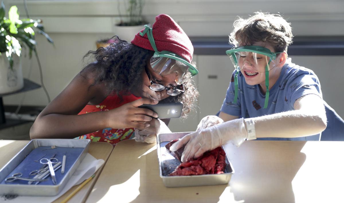 deer heart dissection shabazz