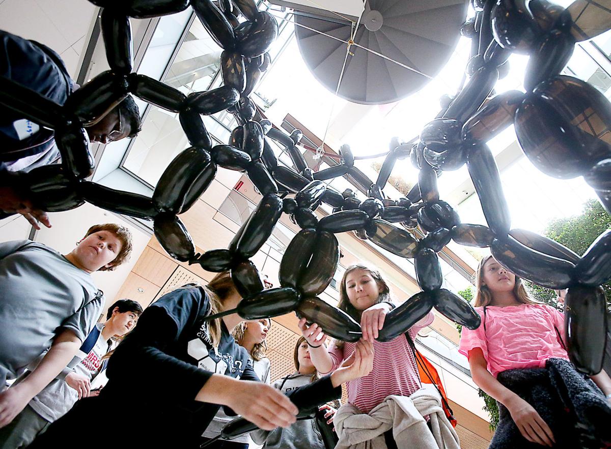 Wisconsin Science Festival