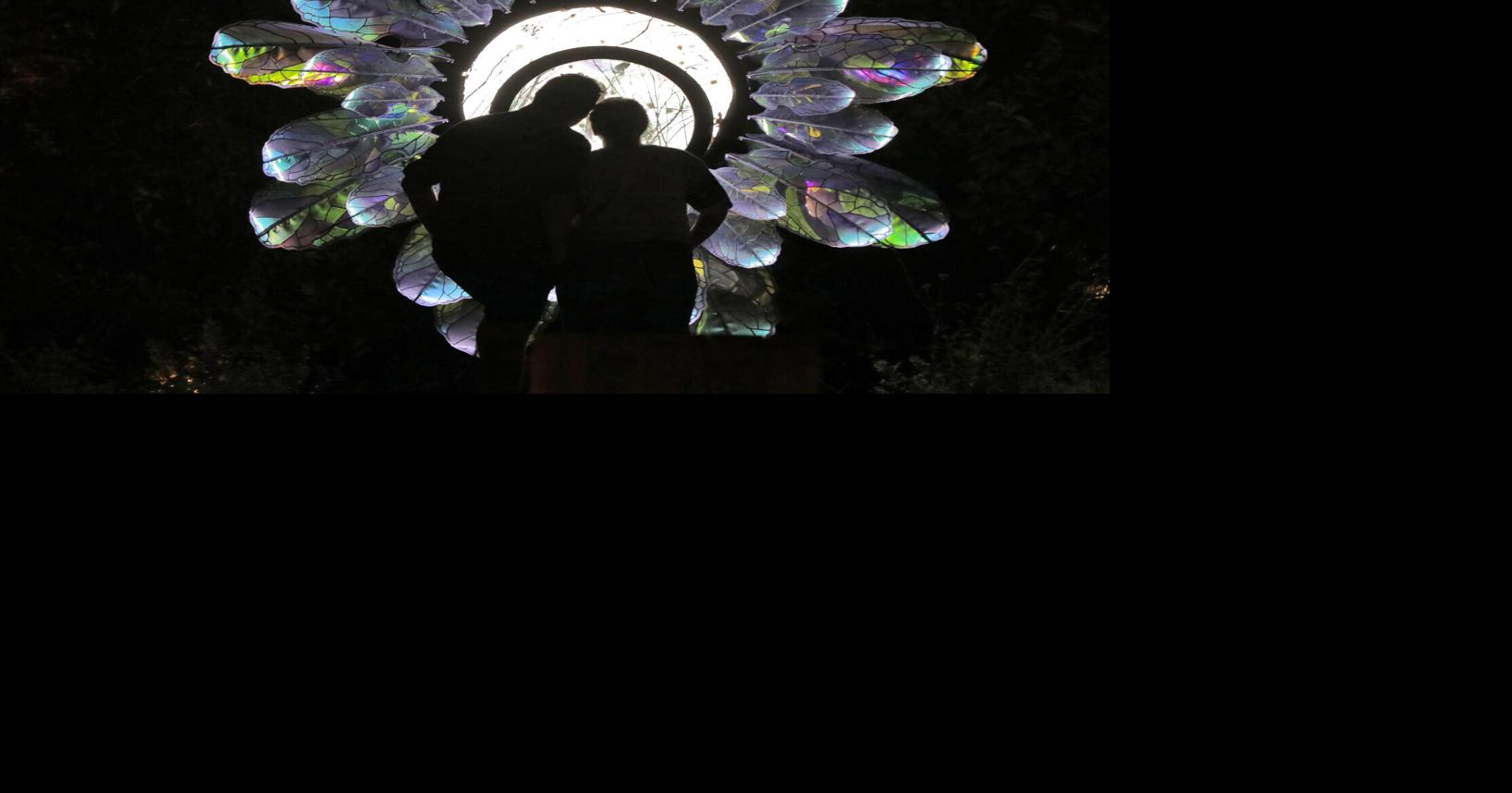 Gardens aglow as GLEAM brings growing crowds to Olbrich