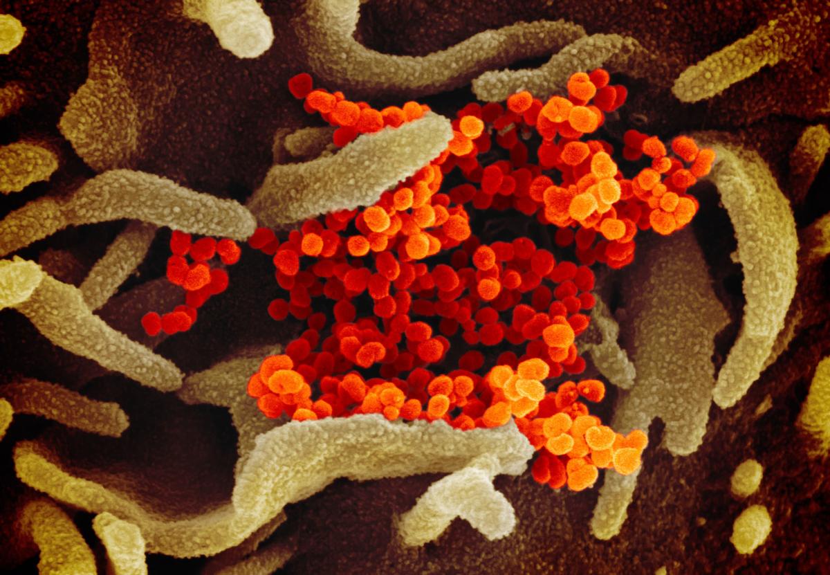 COVID-19 coronavirus