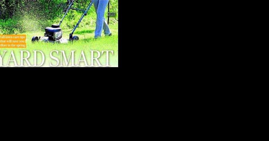 YARD SMART - Vimarsana News