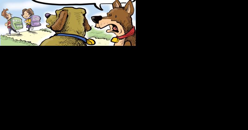Dogs scheme way into school in winning You Toon caption - Vimarsana News