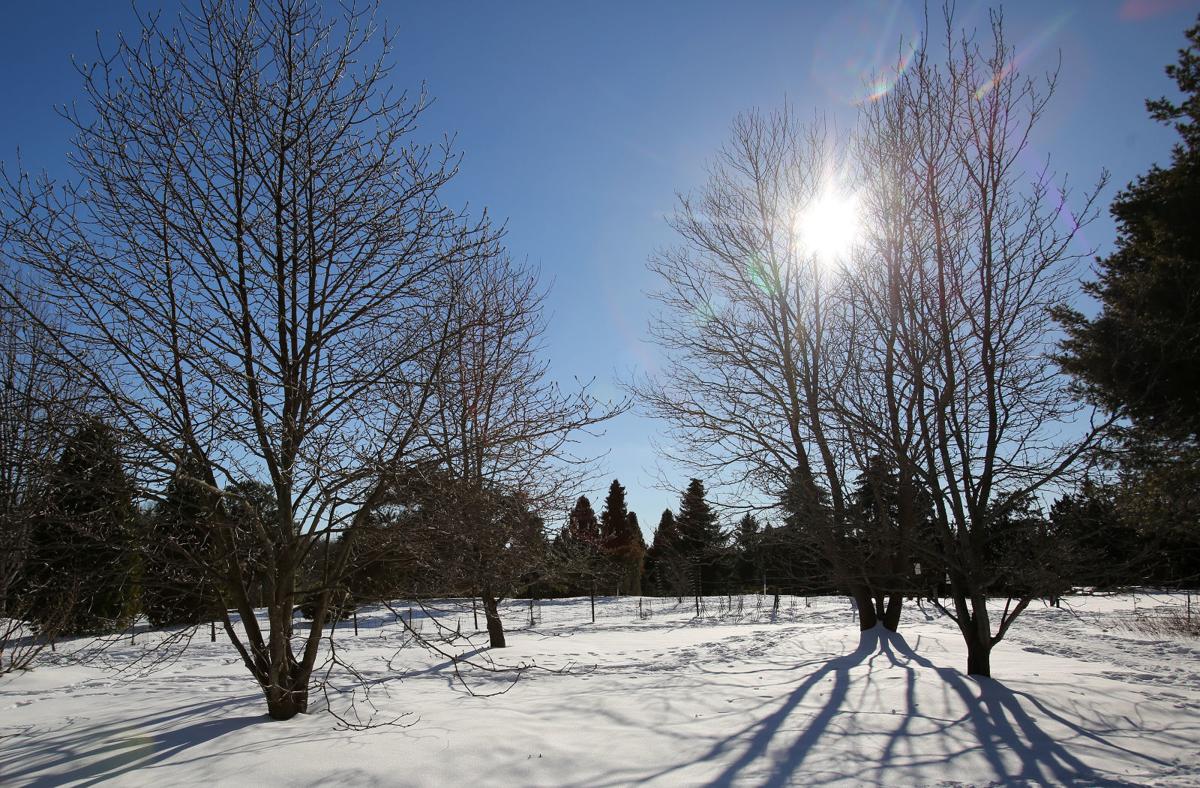 Snow sparkle