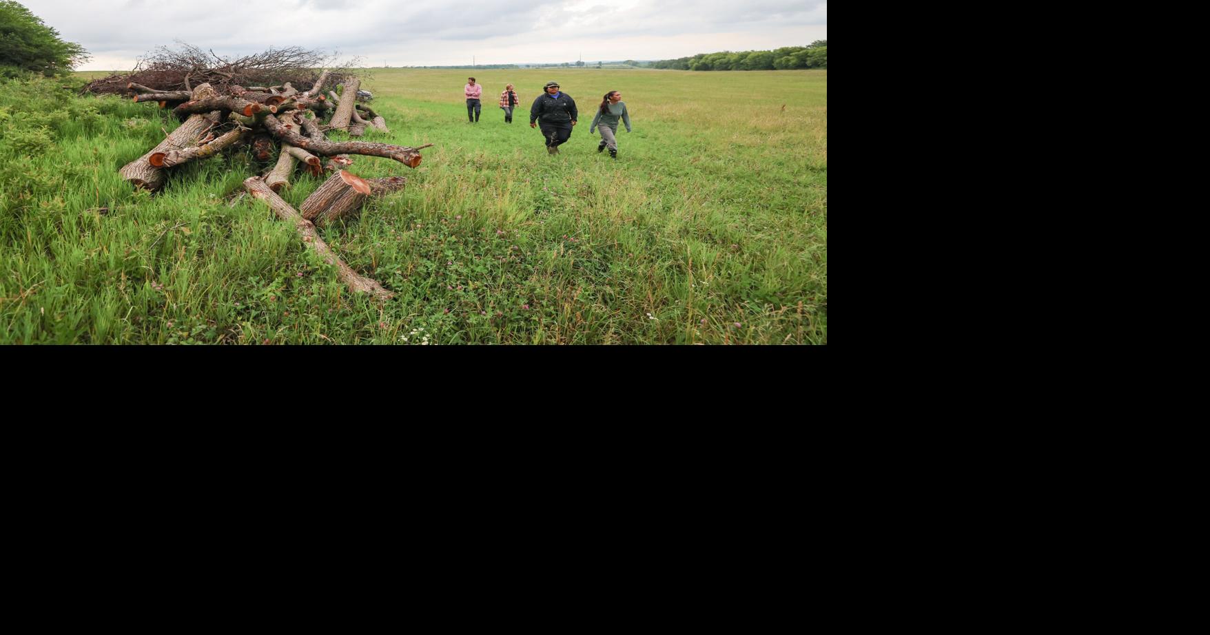 Solar farm threatens Dane County bird sanctuary | Janice Redford