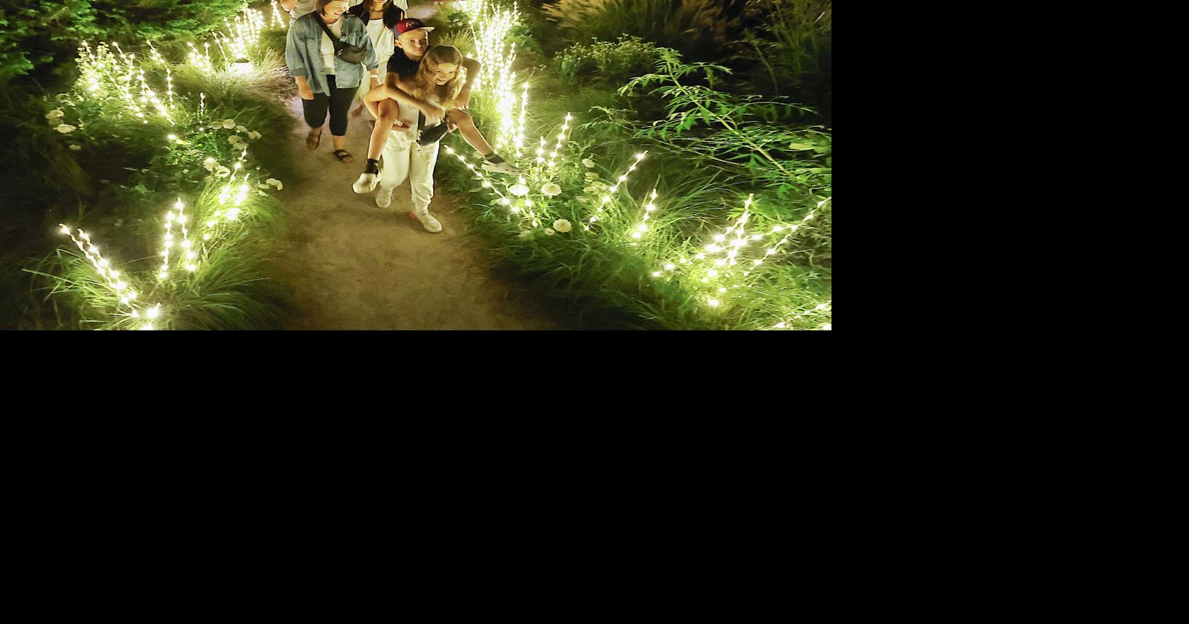 Photos: GLEAM 2024 lights up Olbrich Gardens