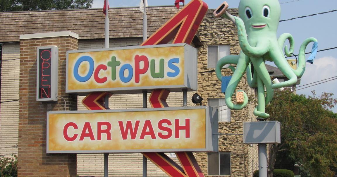 Serene Octopus Car Wash Picture in 4K