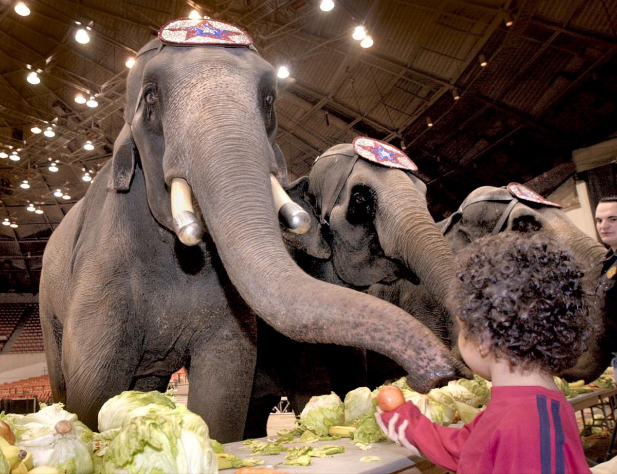 Zor Shrine Circus To Present Last Dane County Performances With Elephants Local News Madison Com