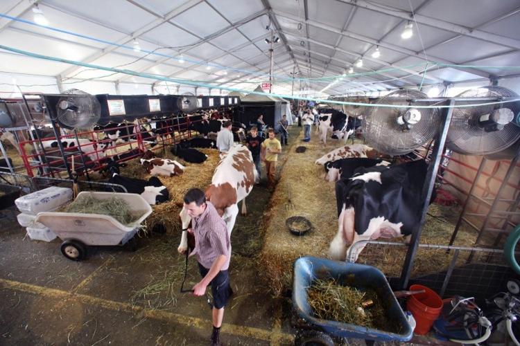 Space crunch at Alliant Center could force Dairy Expo to look elsewhere