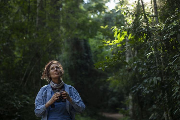 Primatologist Karen Strier elected to the American Philosophical Society