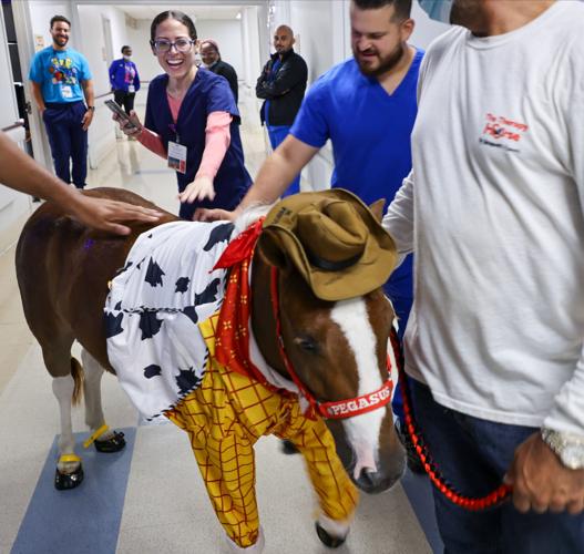LIF-HEALTH-HORSES-HOSPITALS-3-MI