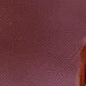 Sprecher Bridget Madison Obituaries Madison Com