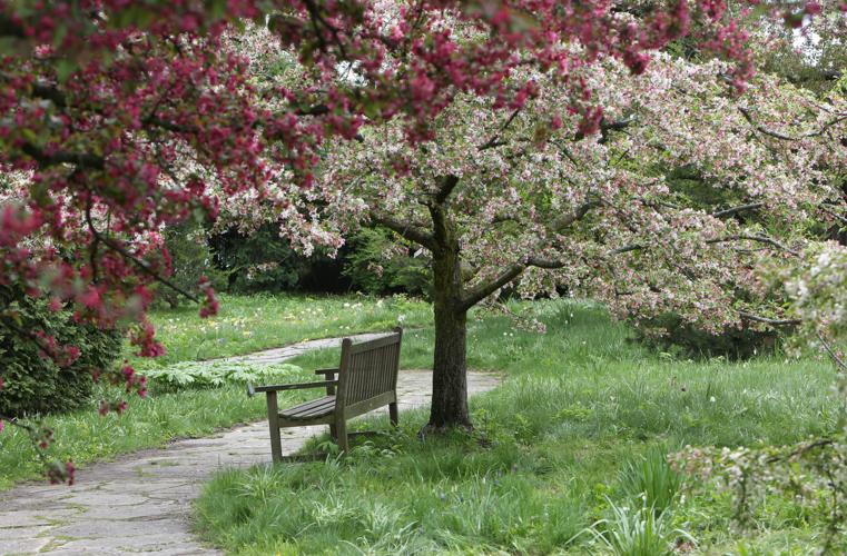 OLBRICH GARDENS