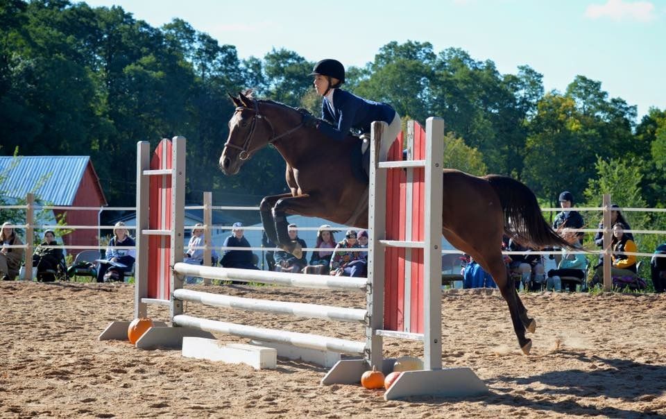 Wisconsin Union officials to shut down home of UW equestrian team, riding club