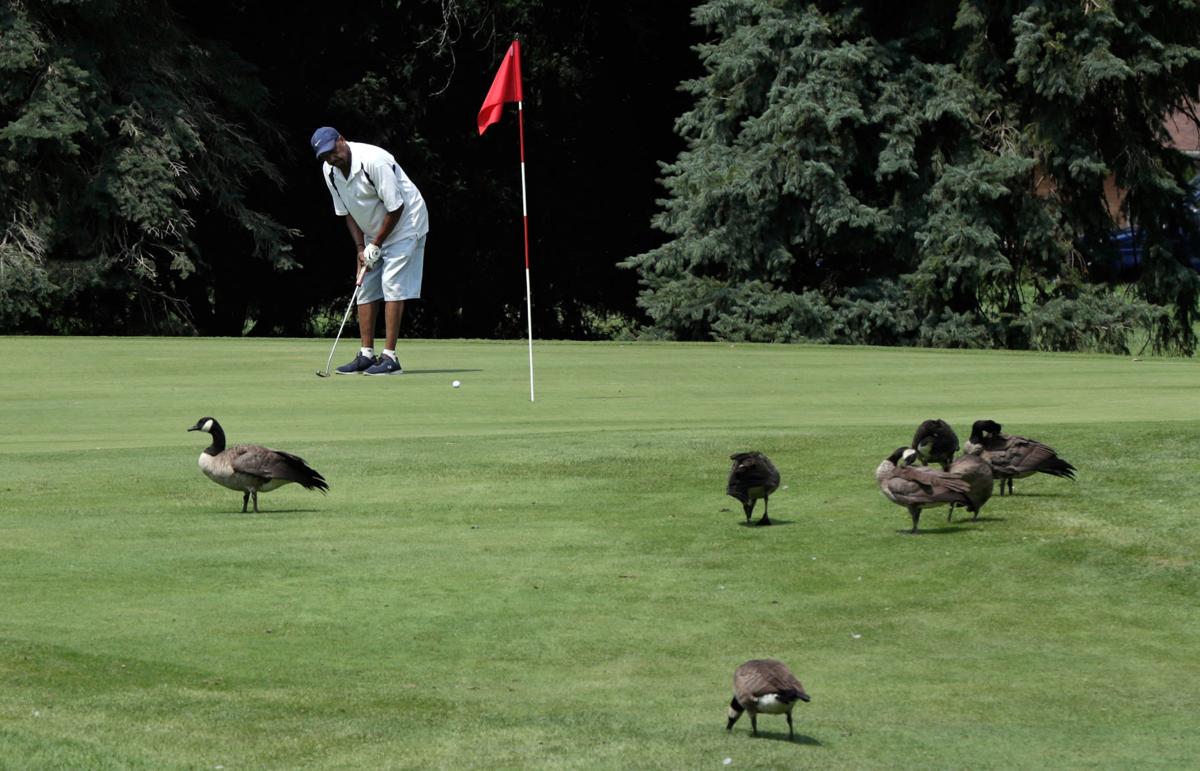 Monona Golf Course could close to help pay for renovations at Yahara Hills