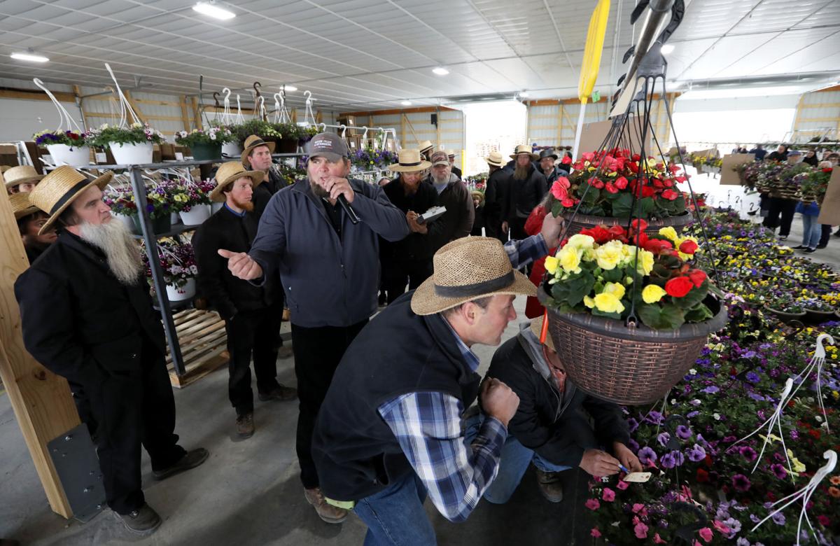 Platteville Produce Auction