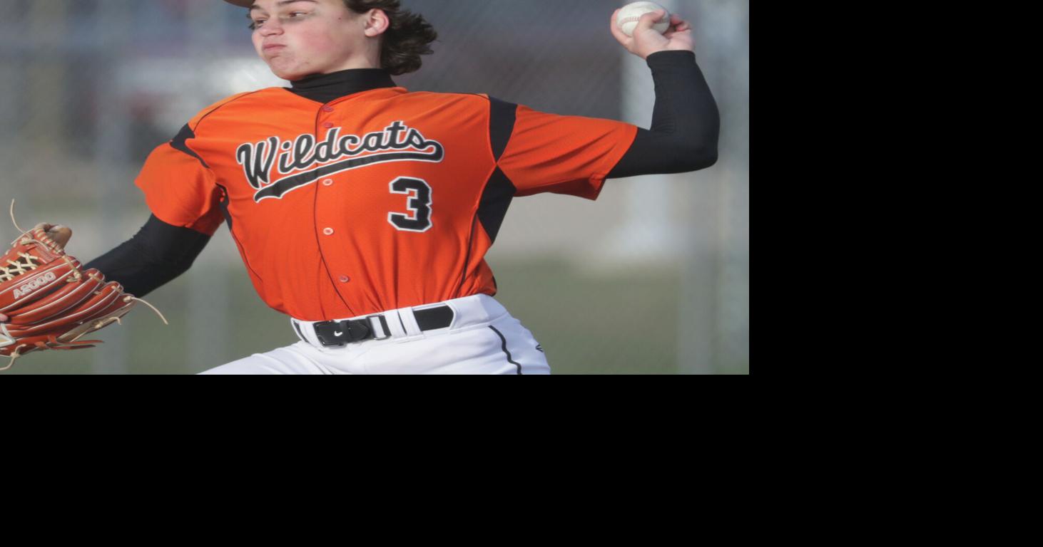 5 Madison-area players make the All-State baseball team