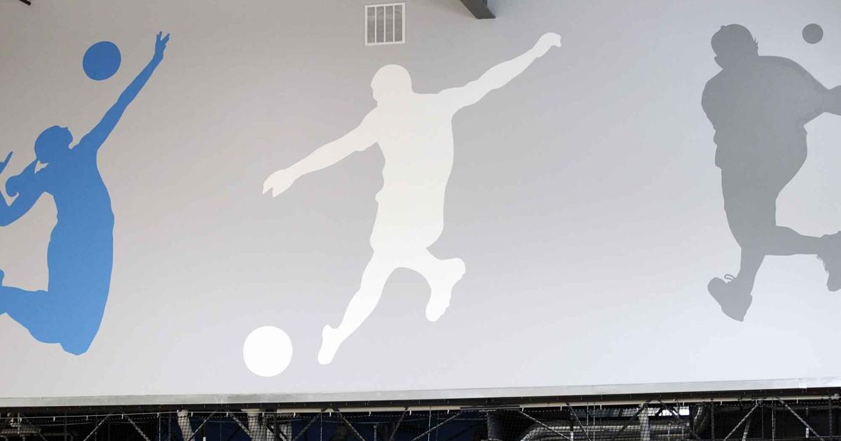 Coverage image for: Photos: New sports complex making buzz in Madison