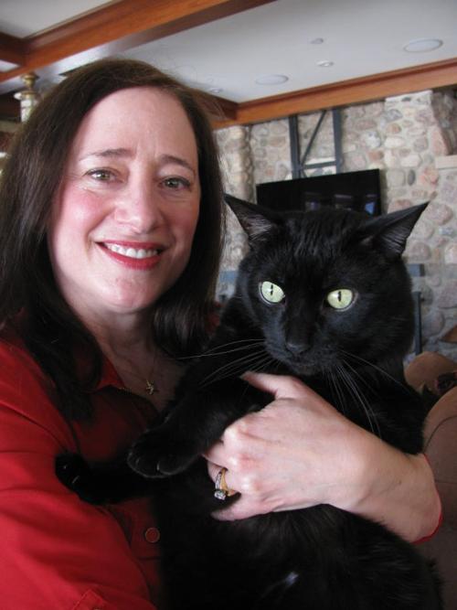 Noah S Ark Pet Center Madison Wi Pet Supplies