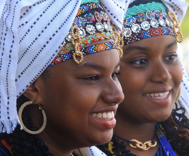 Madison's Africa Fest celebrates continent's diverse culture