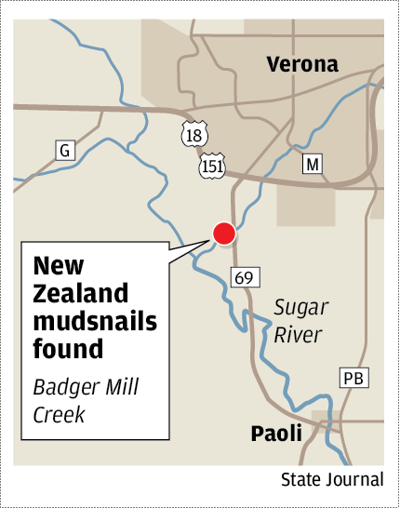 Invasive Snail Found In Second Stream In Dane County