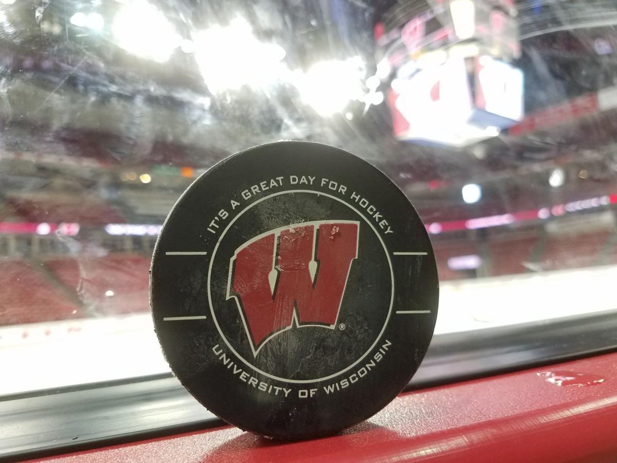 UW hockey puck 3