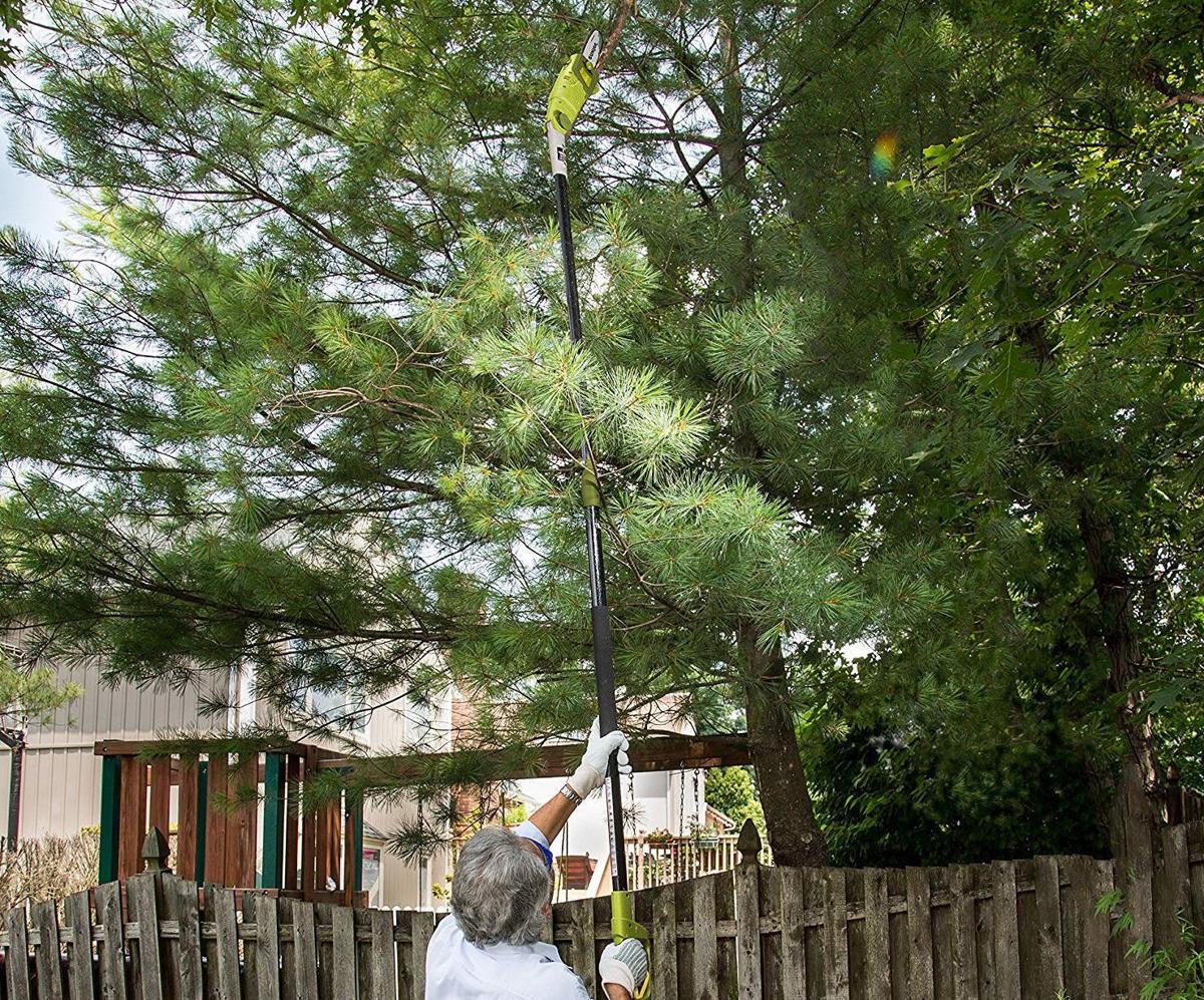 Tree Trimming