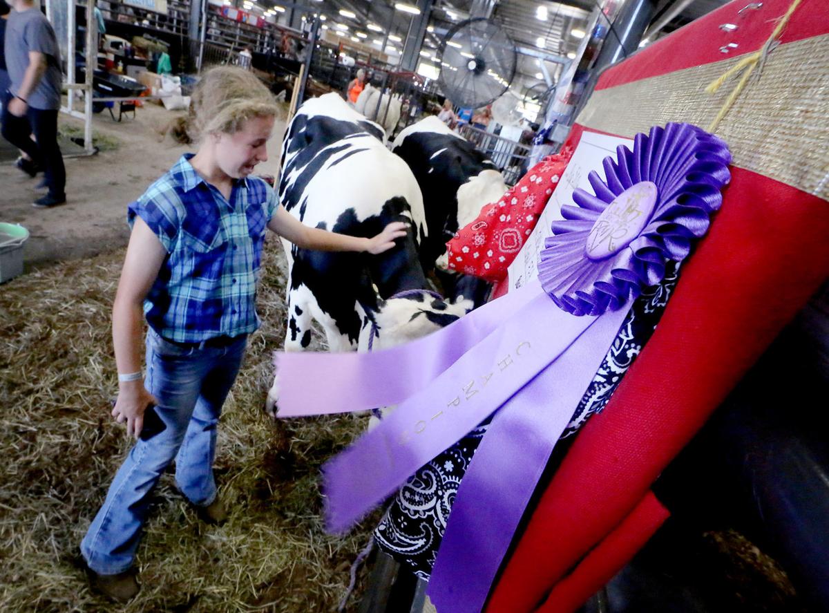 Dane County Fair prizes both country, city visitors