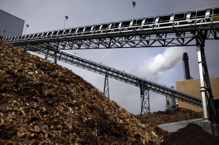 Learning curve steep for Cassville plant now burning wood biomass