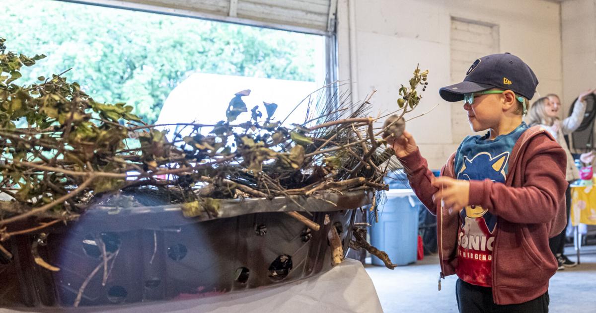 Kid's Raptor Fest teaches students of all ages to care for land, water ...