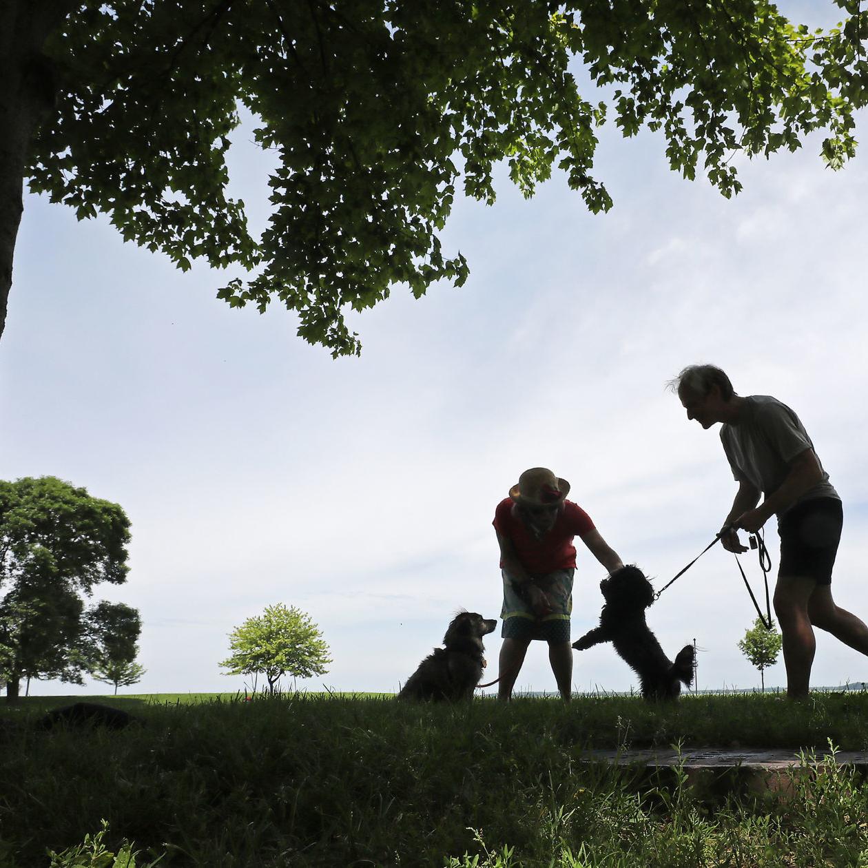 Wingra Park Madison If This Is What >> Madison May Open More Parks To Dogs Politics And Elections Wingra Park Madison If This Is What >> Madison May Open More Parks To Dogs Politics And Elections
